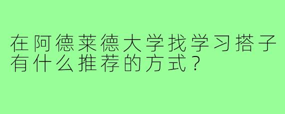在阿德莱德大学找学习搭子有什么推荐的方式？