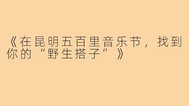 《在昆明五百里音乐节，找到你的“野生搭子”》