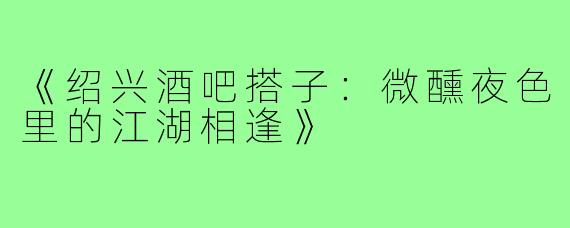 《绍兴酒吧搭子：微醺夜色里的江湖相逢》