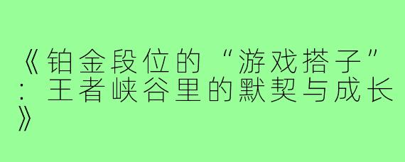《铂金段位的“游戏搭子”:王者峡谷里的默契与成长》