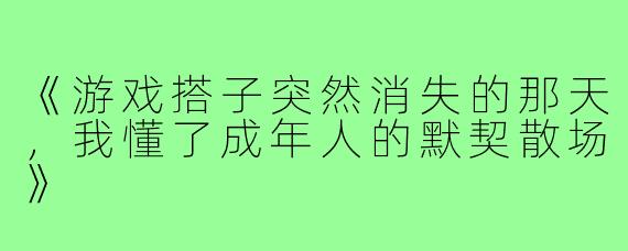 《游戏搭子突然消失的那天，我懂了成年人的默契散场》