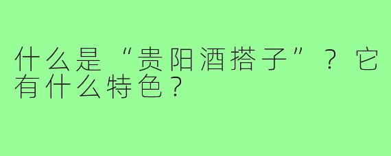 什么是“贵阳酒搭子”？它有什么特色？