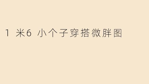 1米6小个子穿搭微胖图