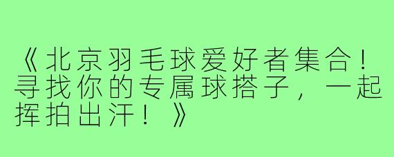《北京羽毛球爱好者集合!寻找你的专属球搭子,一起挥拍出汗!》