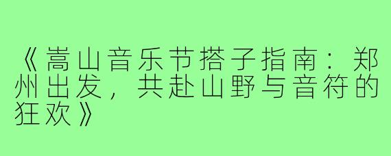 《嵩山音乐节搭子指南：郑州出发，共赴山野与音符的狂欢》