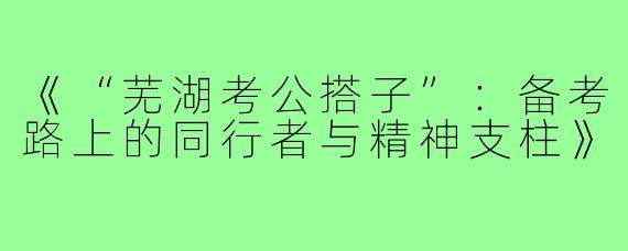 《“芜湖考公搭子”:备考路上的同行者与精神支柱》