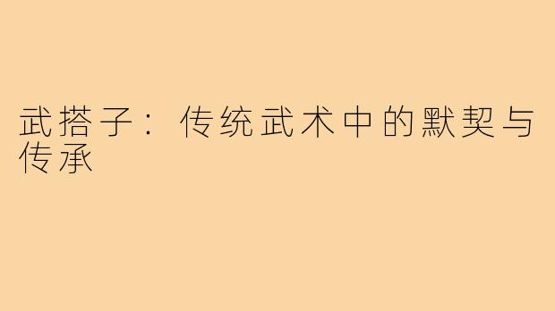 武搭子:传统武术中的默契与传承