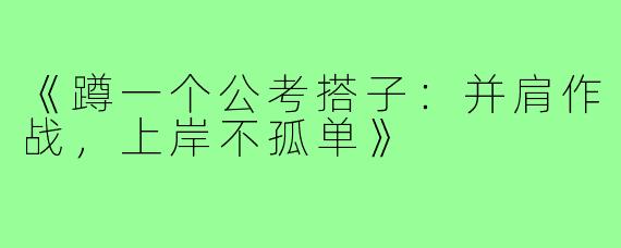 《蹲一个公考搭子：并肩作战，上岸不孤单》