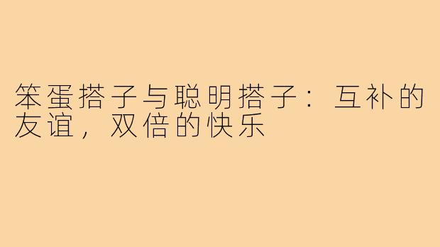 笨蛋搭子与聪明搭子：互补的友谊，双倍的快乐
