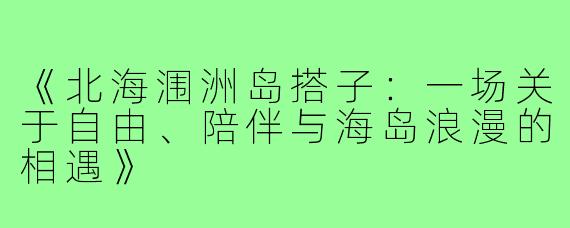 《北海涠洲岛搭子：一场关于自由、陪伴与海岛浪漫的相遇》