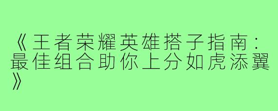 《王者荣耀英雄搭子指南：最佳组合助你上分如虎添翼》