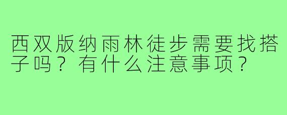 西双版纳雨林徒步需要找搭子吗？有什么注意事项？