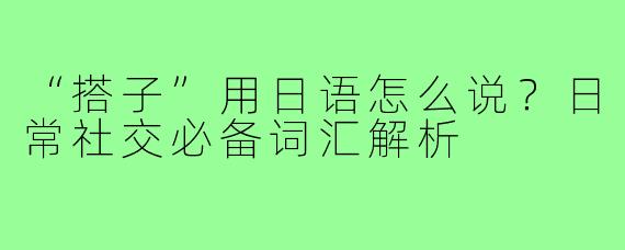 “搭子”用日语怎么说?日常社交必备词汇解析