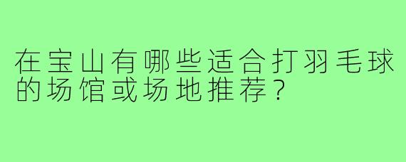 在宝山有哪些适合打羽毛球的场馆或场地推荐?