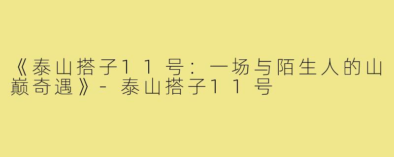 《泰山搭子11号：一场与陌生人的山巅奇遇》-泰山搭子11号