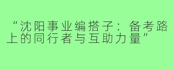 “沈阳事业编搭子：备考路上的同行者与互助力量”