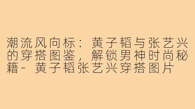 潮流风向标：黄子韬与张艺兴的穿搭图鉴，解锁男神时尚秘籍-黄子韬张艺兴穿搭图片