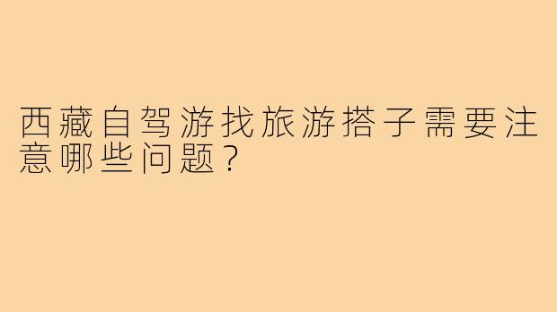 西藏自驾游找旅游搭子需要注意哪些问题?