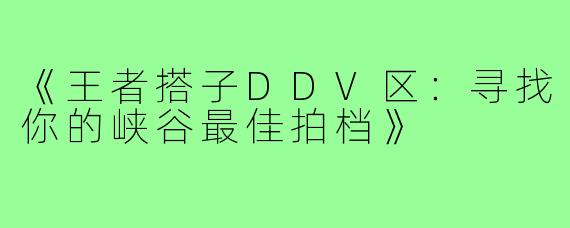 《王者搭子DDV区：寻找你的峡谷最佳拍档》