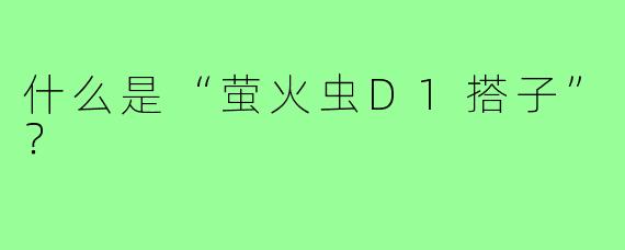 什么是“萤火虫D1搭子”？
