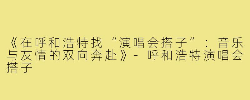 《在呼和浩特找“演唱会搭子”：音乐与友情的双向奔赴》-呼和浩特演唱会搭子