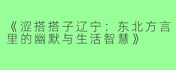 《涩搭搭子辽宁：东北方言里的幽默与生活智慧》