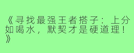 《寻找最强王者搭子:上分如喝水,默契才是硬道理!》