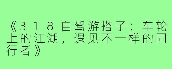 《318自驾游搭子：车轮上的江湖，遇见不一样的同行者》