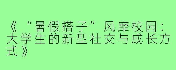 《“暑假搭子”风靡校园：大学生的新型社交与成长方式》