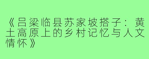 《吕梁临县苏家坡搭子：黄土高原上的乡村记忆与人文情怀》
