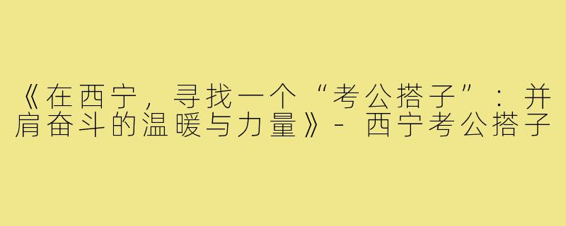 《在西宁,寻找一个“考公搭子”:并肩奋斗的温暖与力量》-西宁考公搭子