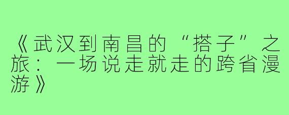 《武汉到南昌的“搭子”之旅：一场说走就走的跨省漫游》