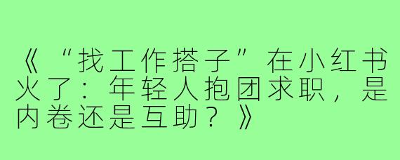 《“找工作搭子”在小红书火了：年轻人抱团求职，是内卷还是互助？》