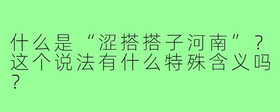 什么是“涩搭搭子河南”？这个说法有什么特殊含义吗？