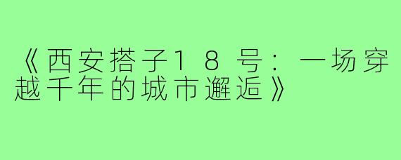 《西安搭子18号：一场穿越千年的城市邂逅》