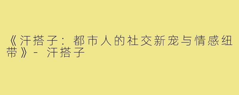 《汗搭子:都市人的社交新宠与情感纽带》-汗搭子