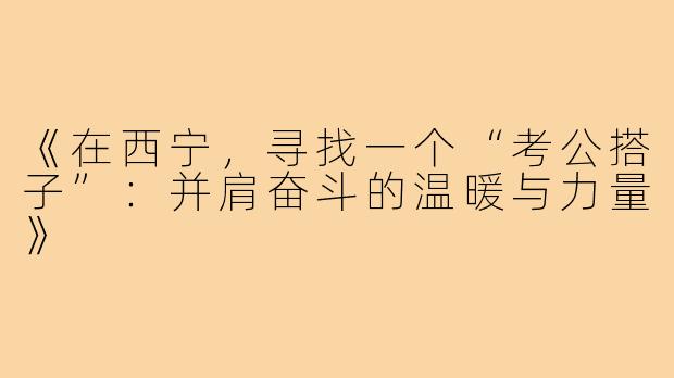 《在西宁,寻找一个“考公搭子”:并肩奋斗的温暖与力量》