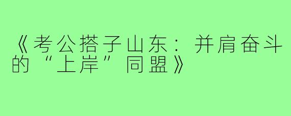 《考公搭子山东：并肩奋斗的“上岸”同盟》