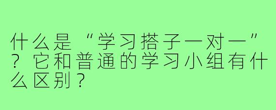 什么是“学习搭子一对一”?它和普通的学习小组有什么区别?