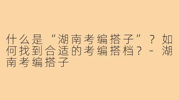 什么是“湖南考编搭子”?如何找到合适的考编搭档?-湖南考编搭子