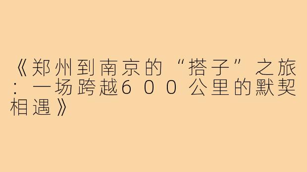 《郑州到南京的“搭子”之旅：一场跨越600公里的默契相遇》