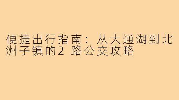 便捷出行指南:从大通湖到北洲子镇的2路公交攻略