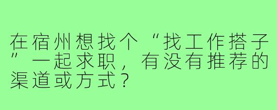 在宿州想找个“找工作搭子”一起求职,有没有推荐的渠道或方式?