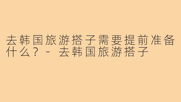 去韩国旅游搭子需要提前准备什么?-去韩国旅游搭子