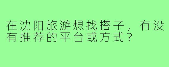在沈阳旅游想找搭子，有没有推荐的平台或方式？