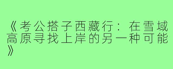 《考公搭子西藏行：在雪域高原寻找上岸的另一种可能》