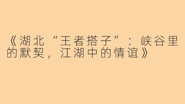 《湖北“王者搭子”:峡谷里的默契,江湖中的情谊》