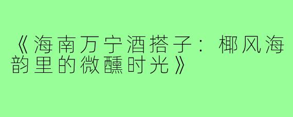 《海南万宁酒搭子:椰风海韵里的微醺时光》