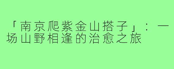 「南京爬紫金山搭子」：一场山野相逢的治愈之旅