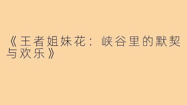 《王者姐妹花:峡谷里的默契与欢乐》